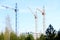 Three tower cranes at a construction site