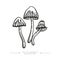 Three toxic magical hallucinogenic mushrooms. Black and white drawing of psilocybin mushrooms. Vector illustration