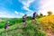 Three trail runners, a woman and an Asian man. Wearing runners, sportswear, practicing running on a dirt path in a high mountain