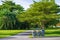 Three trashcans in a park with green tree and plants background