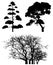 Three tree silhouettes on white