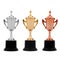 Three trophy cups in gold, silver and bronze