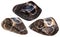 Three turitella fossil natural gem stones isolated