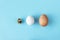 Three type of different birds eggs isolated on blue paper background. Various size and kind choice concept. Quail, egg