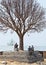 Three unidentified Nepalese old men take a afternoon rest under big old naked tree