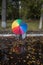 three unrecognizable children hid behind large rainbow-colored umbrella. Reflection in puddle