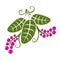 Three vector flat green leaves with tendrils and purple seeds. H