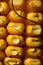 Three vertical rows of corn kernels