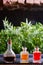 Three vials with spicy aromatic oils of orange and red flowers stand on the table in good light against the green background