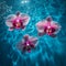 Three vibrant purple orchids gracefully float atop calm surface of body of water.