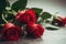 Three vibrant red roses elegantly arranged on a wooden table created with Generative AI technology