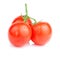 Three Vine fresh juicy tomato with water droplets