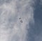 Three vultures flying over the blue sky with clouds