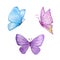 Three watercolor butterflies blue and purple