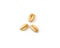 Three Wheat Grain Kernels on a White Background