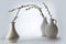 Three white ceramic vases with spring branches on a light ground