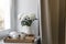 Three white chrysanthemums in seventies-style fluted vase. Wooden tray with a kettle, milk jug and a cup of tea on the