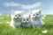 Three white kittens on the grass, AI generative