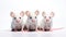 Three white mice sitting next to each other, laboratory mice, animal research concept image.