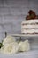 Three white roses. Defocused naked chocolate cake with cream behind. A bright rustic background. Selective focus.