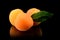 Three whole apricots with leaf isolated on black