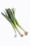 Three whole stems of green leeks