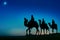 Three Wise Men Camel Travel Desert Bethlehem Concept