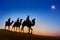 Three Wise Men Riding Camel on the hill