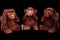 Three wise monkeys