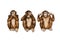 Three wise monkeys (see, hear, speak no evil)