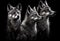Three wolves on a black background. Generative AI.