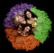 Three woman in color carnival costume