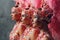 Three Women profile portrait in samba or lambada costume with pink feathers plumage