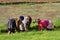 Three women at work in the rice fields of Betafo, Madagascar