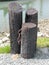 Three wooden bollards, Swinomish Channel, La Conner, WA, USA.