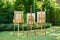 Three wooden easels with paintings standing on a green lawn in a garden or park in a concept of art and nature.