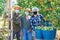 Three workers in masks picking pears