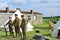 three world war one soldiers in row with equipment