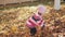 A three-year-old girl plays with a bunch of fallen leaves on a sunny autumn day.