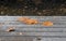 Three yellow autumn maple leaves on wet grey table or terrace under heavy rain outside in garden