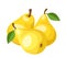 Three yellow pears.
