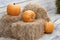 Three yellow pumpkins lies on hay bales. Farm green product. Pumpkin autumn, concept of Halloween and autumn harvest
