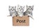 Three young cats in cardboard box with word Post