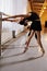 Three young cute ballerinas perform exercises on a choreographic machine or barre