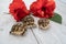 Three young hermann turtles on white wooden background with a red hibiscus flower and leave