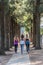 Three young ladies walking in the park