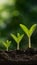 Three young plants staged in ascending order against blurred green backdrop