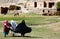 Three young women run across a field in a small village between Chaghcharan and the Minaret of Jam in Afghanistan