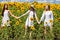 Three young women in white dress posing against the blue sky in sunflowers field