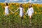 Three young women in white dress posing against the blue sky in sunflowers field